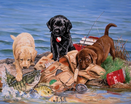 Little Fishermen - puppys, play, dogs, Little, Fishermen, adorable, freinds, sweet