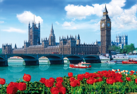 Westminster Bridge - westminster, travel, red, tulips, bridge