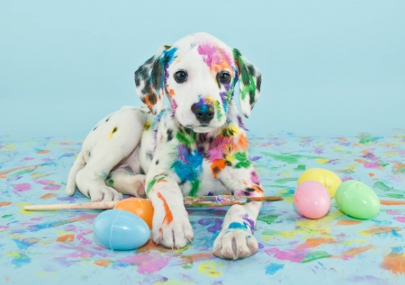 Easter Puppy - paint, eggs, puppy, dog, dalmatian, easter, paint brush, brush