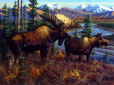 Alaskan Royalty - Alaska, western, deer, Royalty