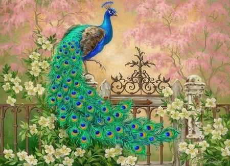 Jewel of the Garden - love four seasons, pretty, animals, beautiful, flowers, spring, elegant, peacock, lovely, colors, paintings