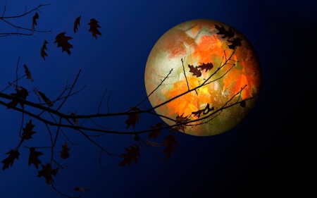 Autumn moon - moon, autumn, branch, night, leaf, dark, blue, luminos, orange, toamna, luna