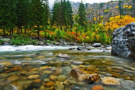 Wenatchee River - River, trees, Wenatcheem, autumn