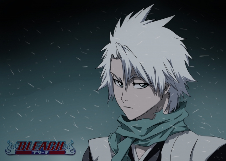 Hitsugaya Toshiro - warrior, anime, bleach, manga