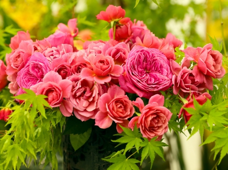 Pink Roses - bouquet, blossoms, decorative, vase