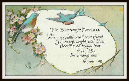 Bluebird of Happiness Greeting - bluebird of happiness, blue, well-wishes, framed, bluebird, white, vintage, greeting, antique