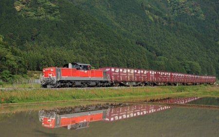 train in a field - train, cool, field, fun, nature