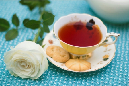 Tea Time - soft, photography, rose, flower, cup