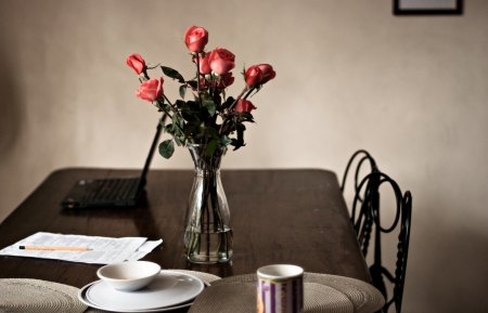 Morning Tea - nature, roses, soft, pink, flowers