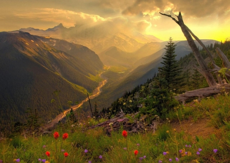 Summer Evening - evening, flowers, summer, mountain