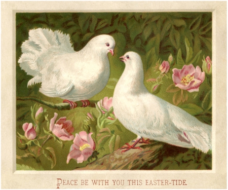 Happy Easter! - bird, dove, flower, pink, easter, white, vintage, green, card