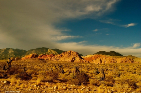 Red Rock Canyon - nature, fun, mountain, canyon, cool