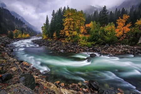 Wentachee River - forest, cool, river, fun, nature