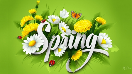 Fresh Spring - ladybug, flowers, daisies, chrysanthemums, chamomiles, mums, spring, butterflies