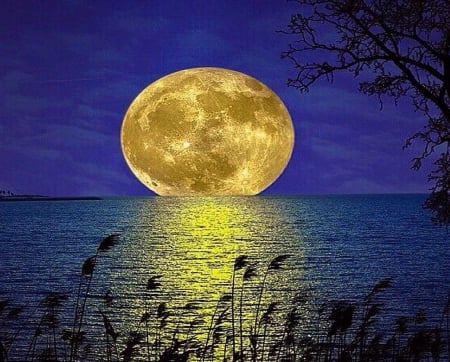 Awesome night - moon, water, night, light, reflection