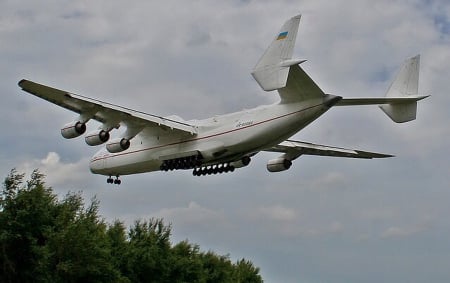 Antonov - antonov, landing, plane, trees