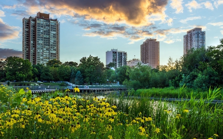 Chicago in Springtime - trees, spring, buildings, architecture, chicago, flowers, cityscapes, skyscrapers, landscapes