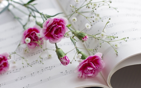 Carnations Flowers - music, blossoms, still life, book