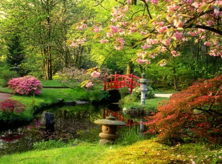 Spring park - trees, blossoms, pond, beautiful, spring, freshness, blooming, green, garden, bridge, park, japanese