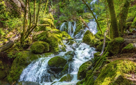 Forest waterfall - landscape, trees, magic, water, wonderful, waterfall, forest, river, beautiful, splendor, green, color, outdoor