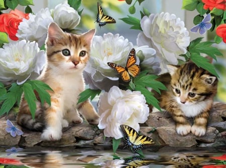 cute kittyes - adorable, kittyes, water, flowers, cute, spring