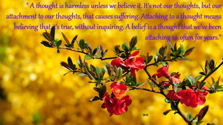 Thought - Quotes, Words, Nature, Flowers, Thoughts