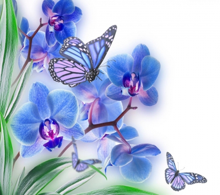 Blue Orchids & Butterflies - orchids, beauty, black, nature, white, art, abstract, purple, blue, beautiful, green, flowers, butterflies