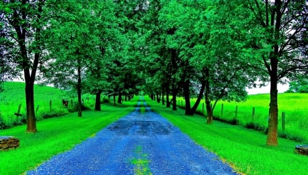 FENCE ACROSS the SIDES of the ROAD - fields, trees, landscape, road, nature, pathway, beautiful, splendor, leaves, enchanting nature