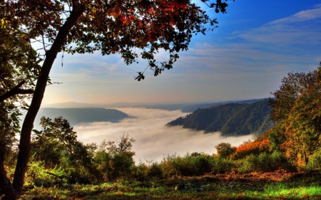 Spectacular hills - summer, sky, hill, fog, tree, nature