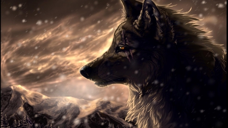 Another Wolf Wallpaper! - wolves, hd, wolf, cool, wallpaper