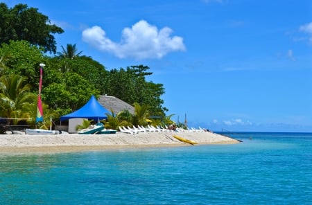 vanuatu beach resort - beach, ocean, vanuatu, tree, resort