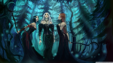 three witches - three, witch, tree, forest