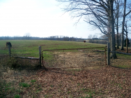 Field Entrance