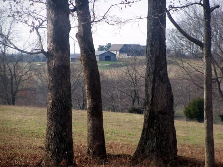 Home In The Country - Nature, Rural, Country, Architecture, House