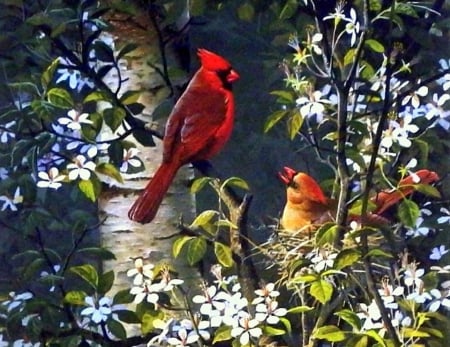 Spring Bonding - animals, lovely, spring, cardinals, love four seasons, pretty, beautiful, paintings, flowers, colors, birds