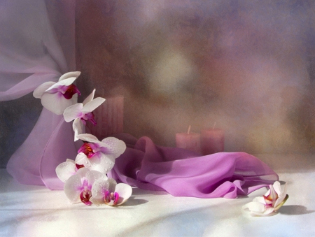 Orchid - flowers, violet, candles, orchid