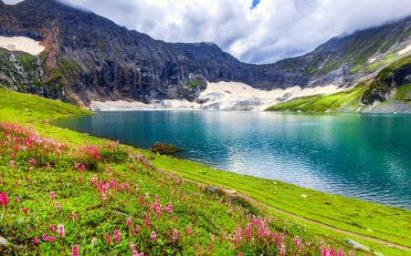 Wonderful lake - lake, sky, mountain, wonderful, lovely, nature, reflection, pretty, beautiful, flowers, grass, wildflowers