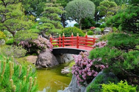 Japanese garden - trees, blossoms, pond, beautiful, spring, lovely, freshness, garden, bridge, park, japanese