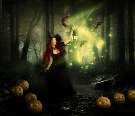 the witch - halloween, fantasy, forest, the witch