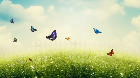 Butterflies in the Mist - clouds, summer, butterflies, spring, grass, flowers, fresh, mist, sky