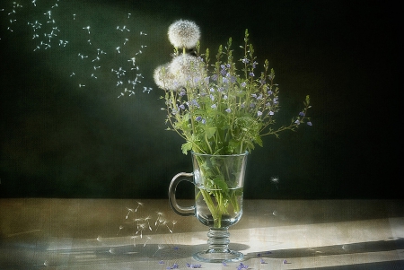 ♥ - flowers, lovely, still life, glass