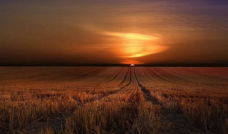 Sunset - nature, fields, amazing, sunset