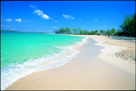 beach bahamas - beach, sand, ocean, bahamas