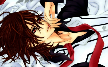 Kaname - Manga, Vampire Knight, Anime, Vampires