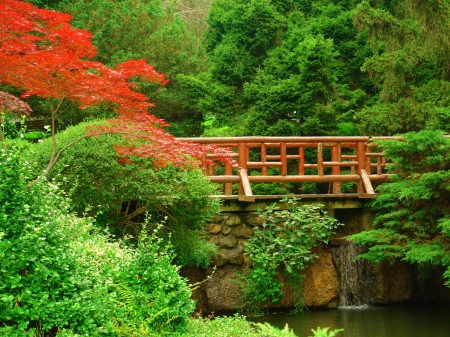 Garden - trees, summer, pond, beautiful, spring, forest, lovely, river, green, garden, bridge, park