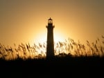 Cape Hatteras Lighthouse,Outer Banks North Carolina