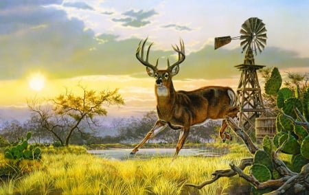 little deer - art, sunset, deer, little