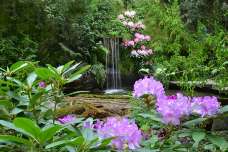 Spring Waterfall~Butchart Gardens - flowers, water, waterfall, Spring, Canada, plants, foliage, Butchart Gardens