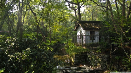 A house in a Hangzhou forest - hd, hangzhou, china, 1366x768