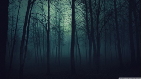 Dark forest - hd, dark, forest, 1366x768